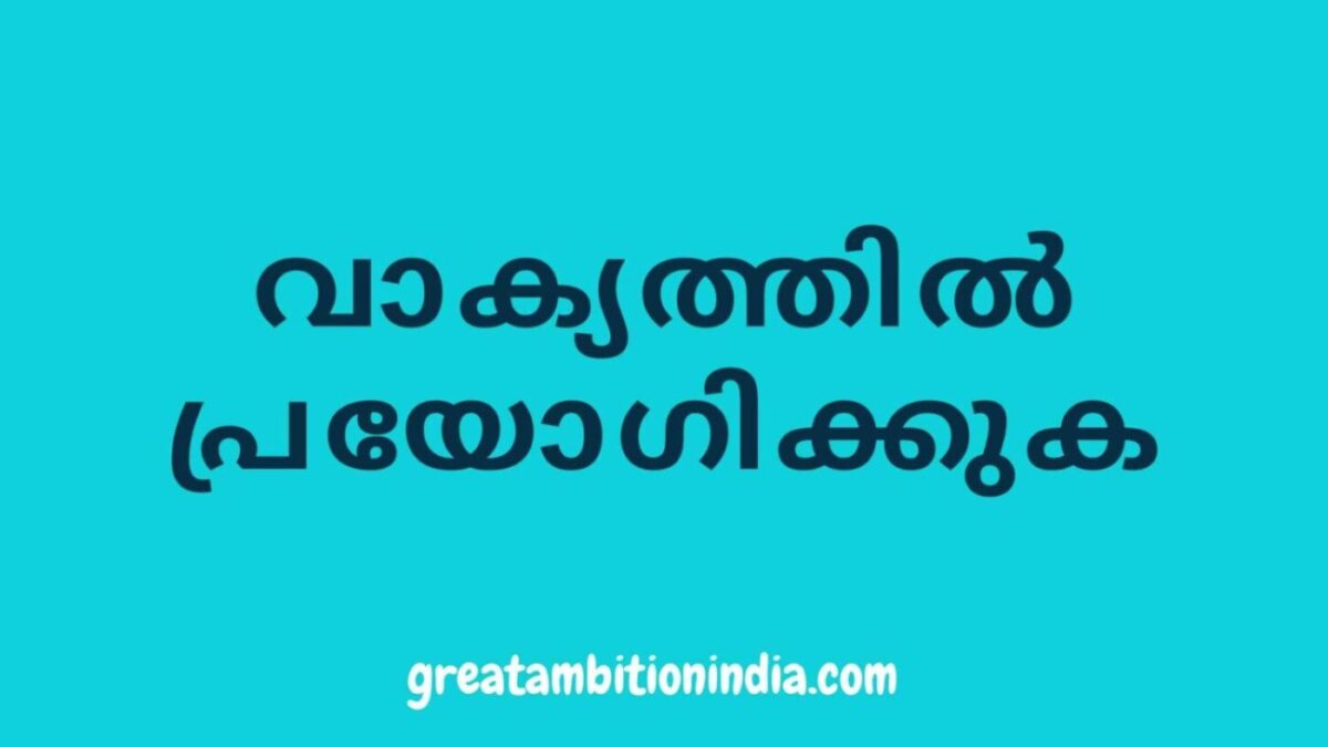 വാക്യത്തിൽ പ്രയോഗം Make Sentences with Words in Malayalam Language