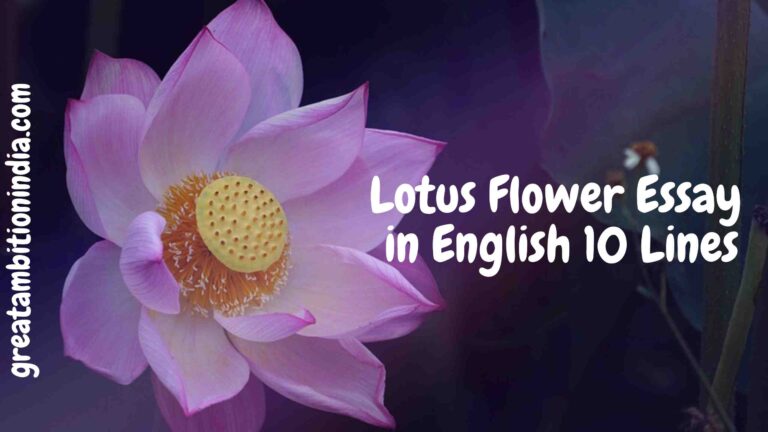 Lotus Flower Essay in English 10 Lines || Lotus Flower || Short Essay on Lotus Flower
