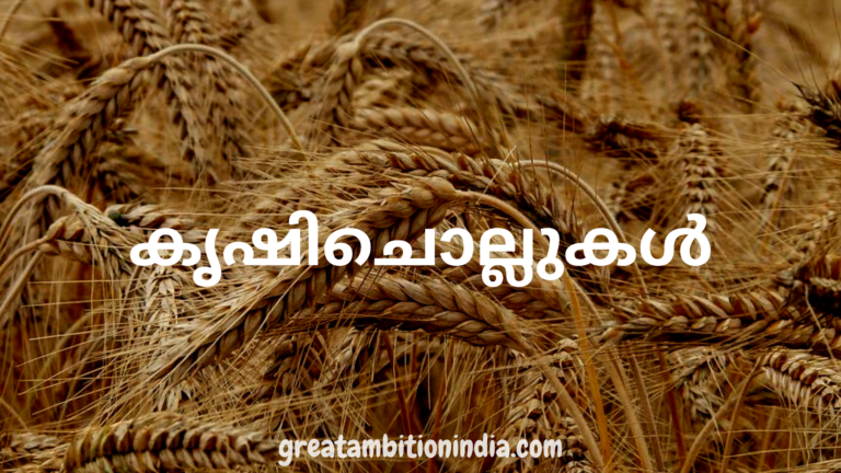 കൃഷിചൊല്ലുകൾ (KRISHI CHOLLUKAL)