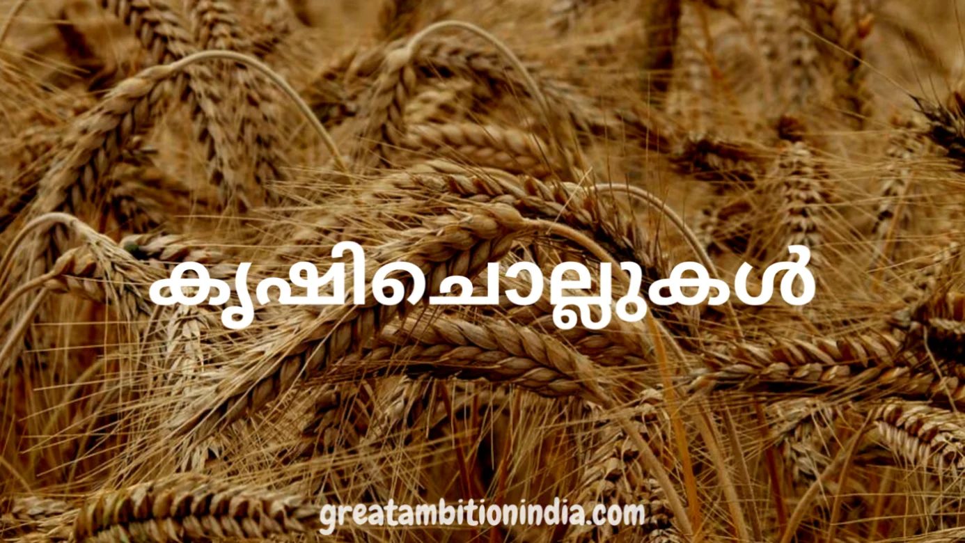 കൃഷിചൊല്ലുകൾ (KRISHI CHOLLUKAL)