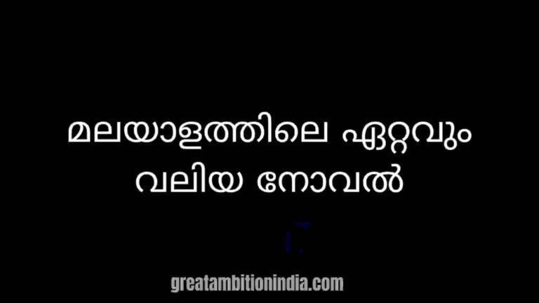മലയാളത്തിലെ ഏറ്റവും വലിയ നോവല്