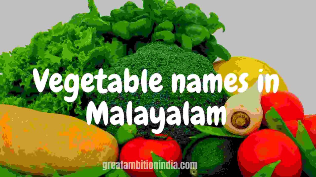 Vegetables in Malayalam and English Great Ambitions