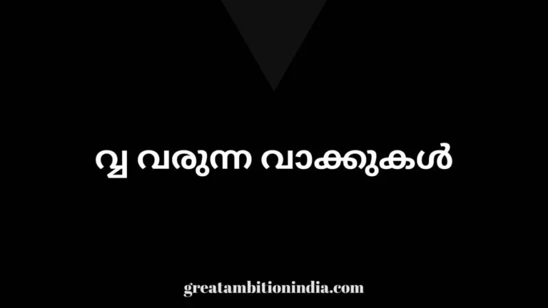 വ്വ വരുന്ന വാക്കുകൾ