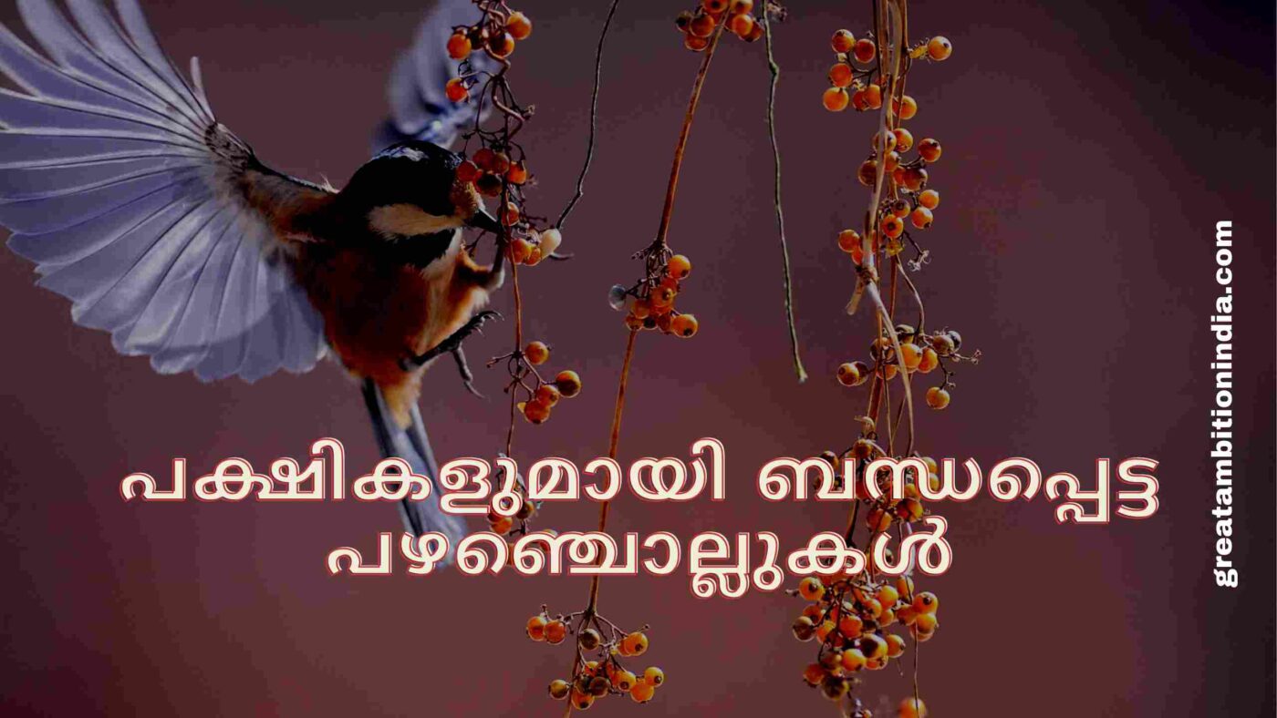പക്ഷികളുമായി ബന്ധപ്പെട്ട പഴഞ്ചൊല്ലുകൾ